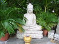 gal/01 - Phnom Penh/_thb_RIMG1979.jpg